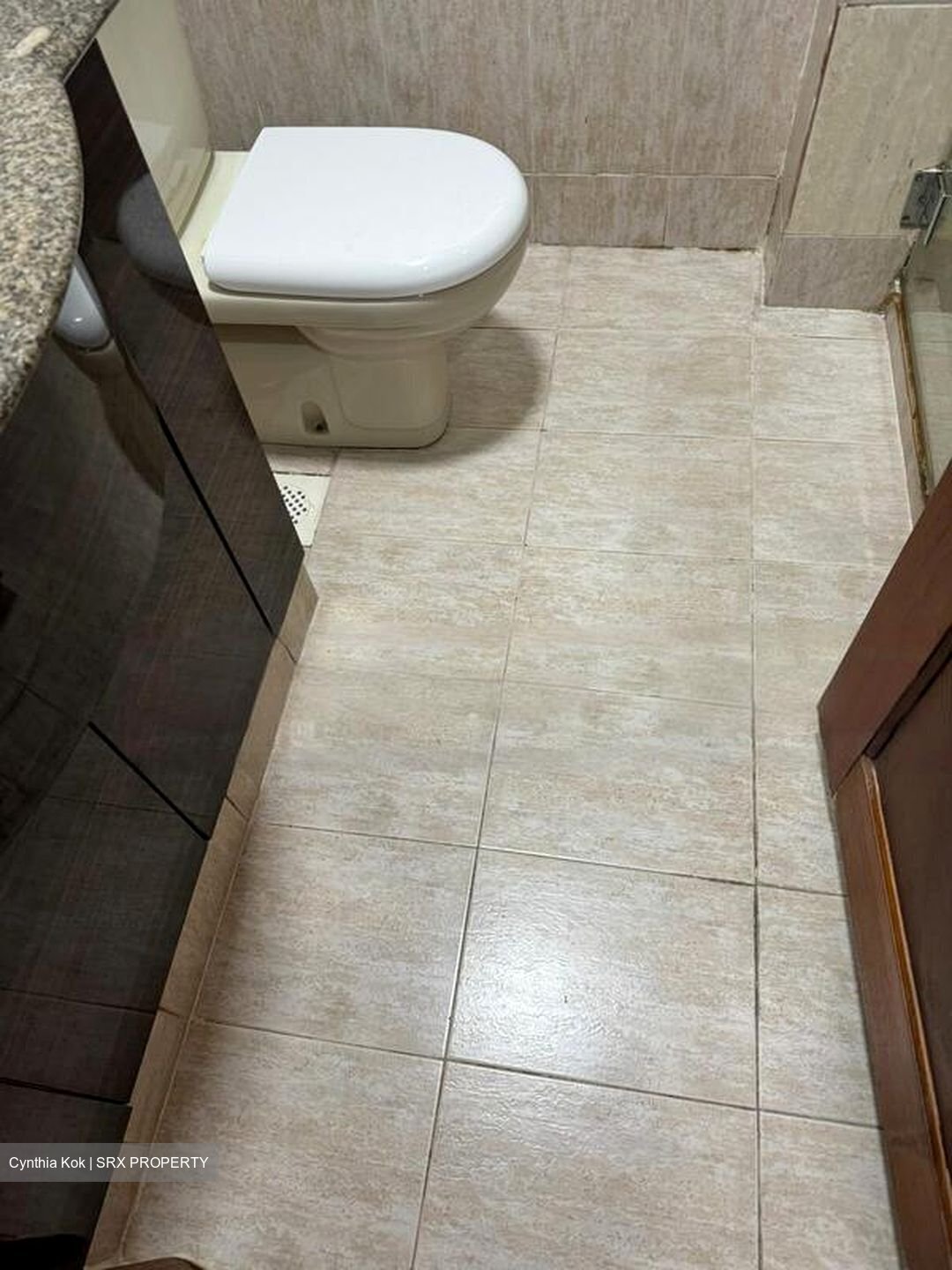 Eastpoint Green (D18), Condominium #454123091